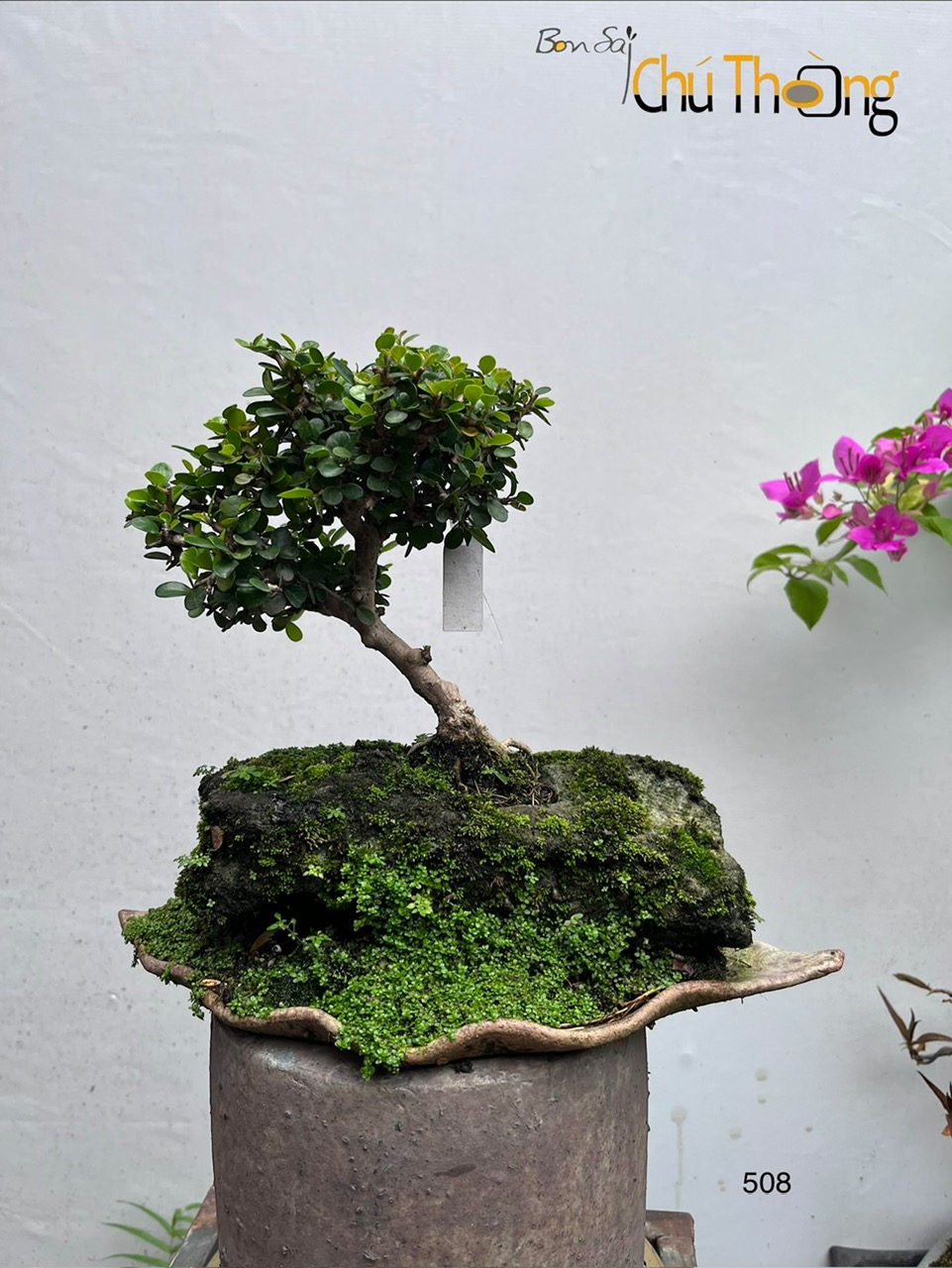 Tiểu Cảnh Sam Núi