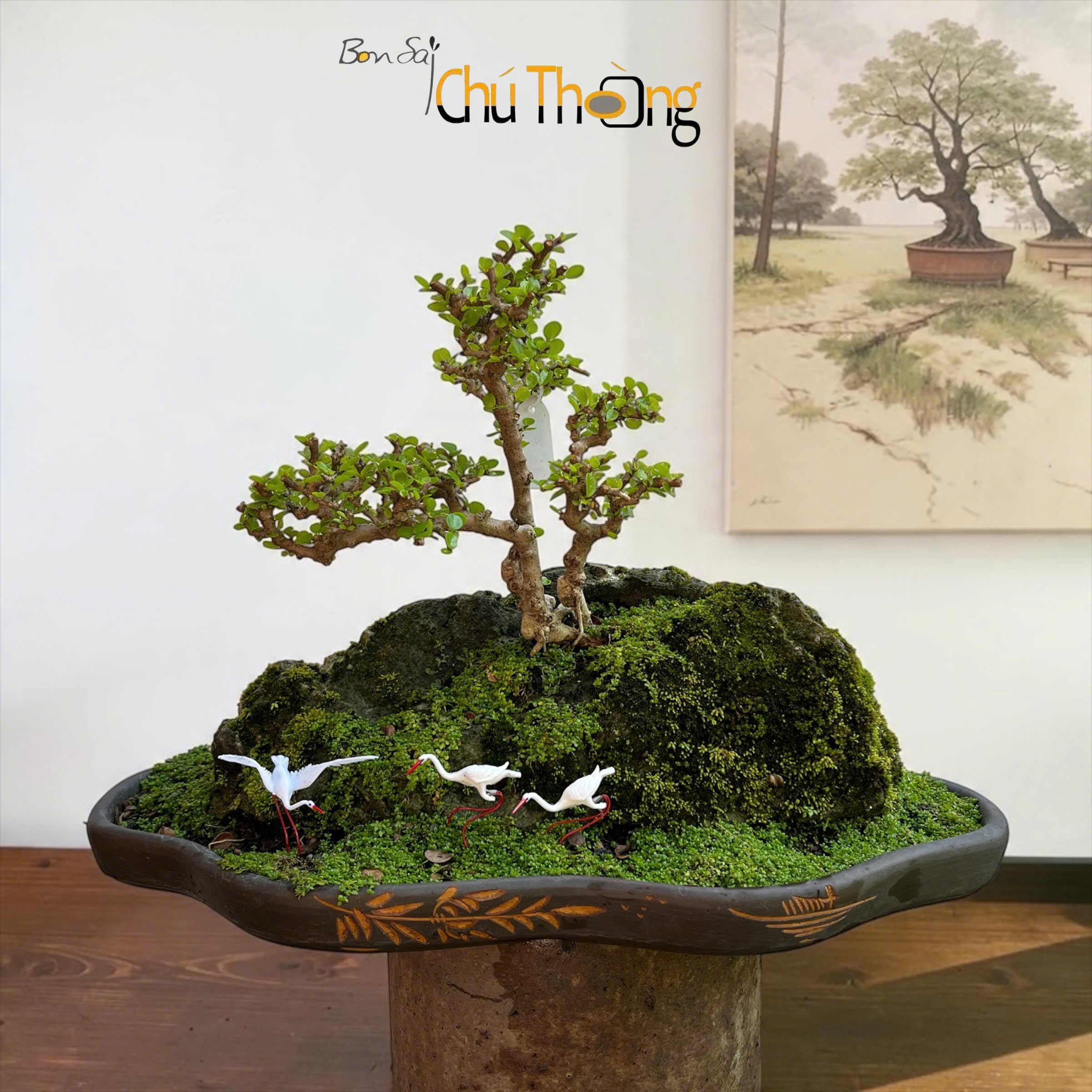Tiểu Cảnh Sam Núi