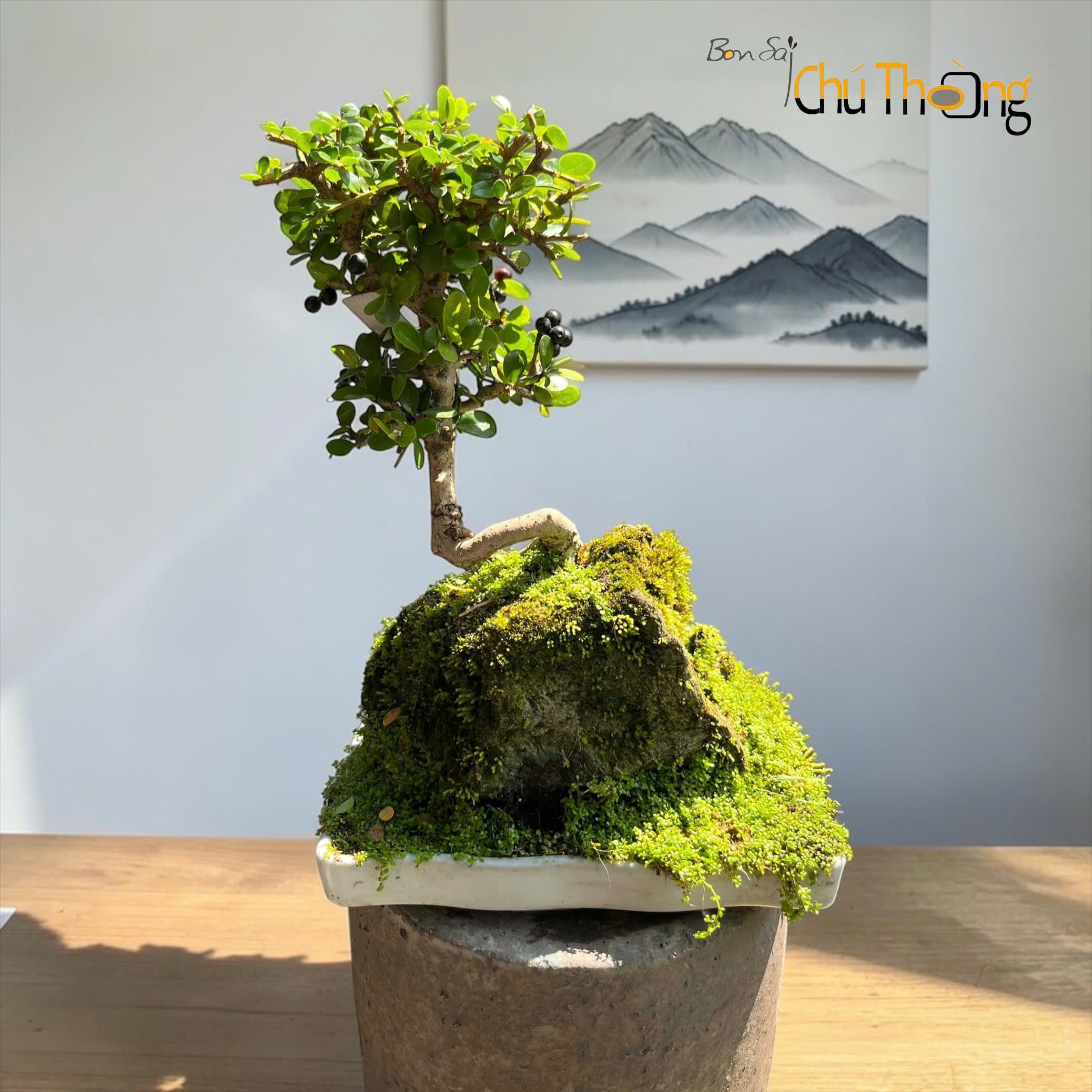 Tiểu Cảnh Sam Núi