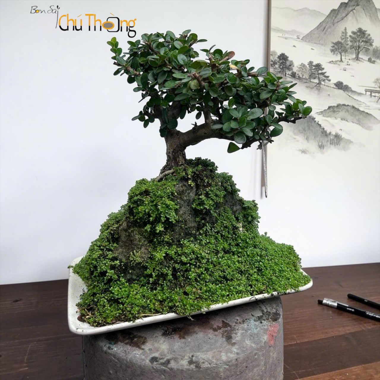 Tiểu Cảnh Sam Núi