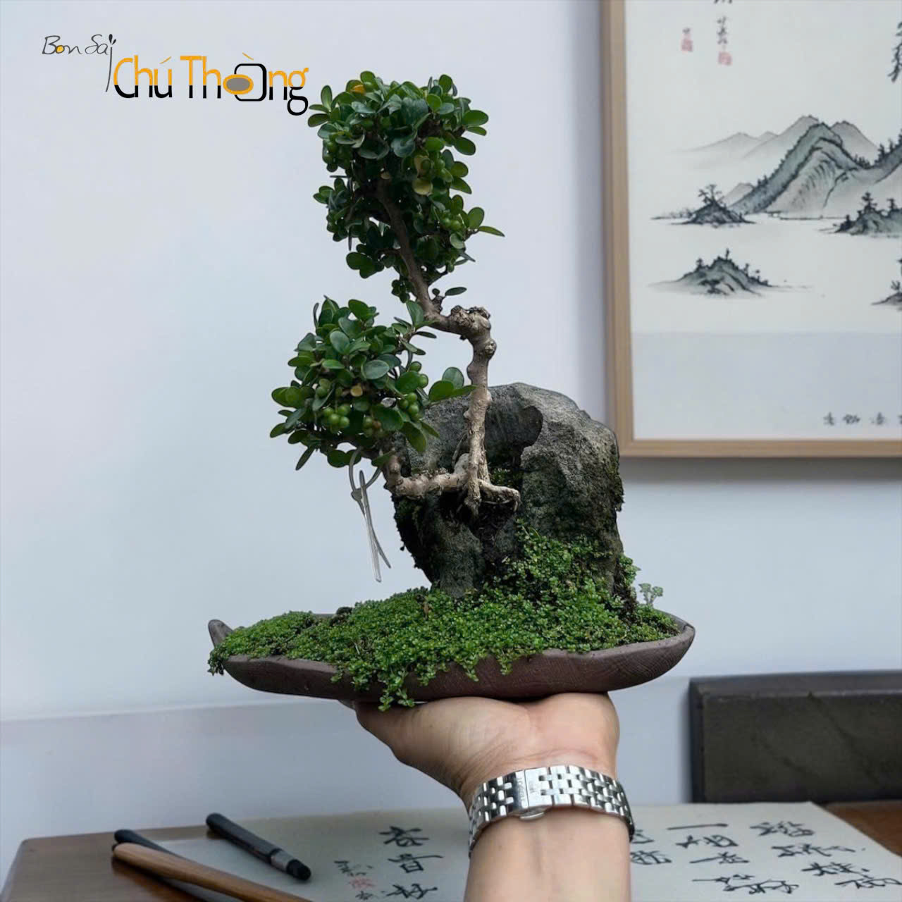 HỘ KINH DOANH BONSAI CHÚ THOÒNG